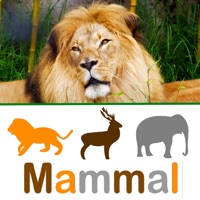 Tip Tap learn, Animal Kinds