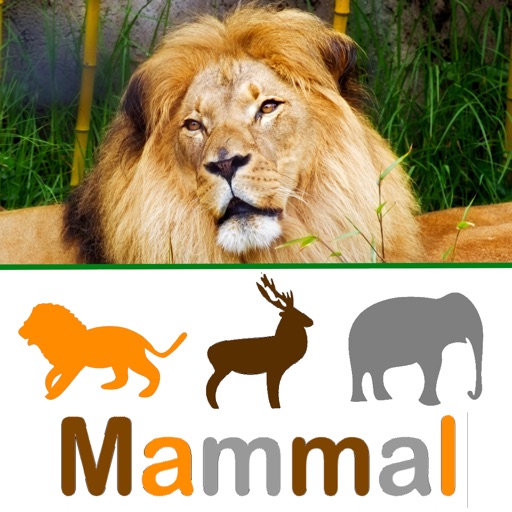 Tip Tap learn, Animal Kinds iOS App