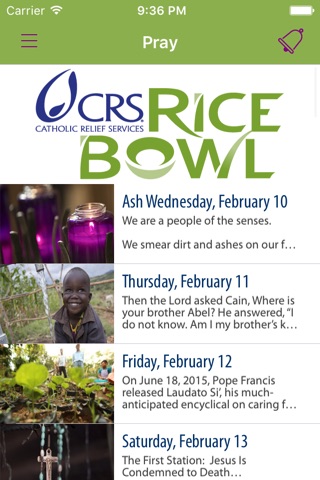 CRS Rice Bowl screenshot 4