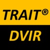 TRAIT DVIR thinking personality trait 