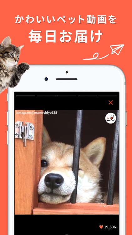 PECO(ペコ):飼い主のための機能充実ペットアプリ screenshot-0