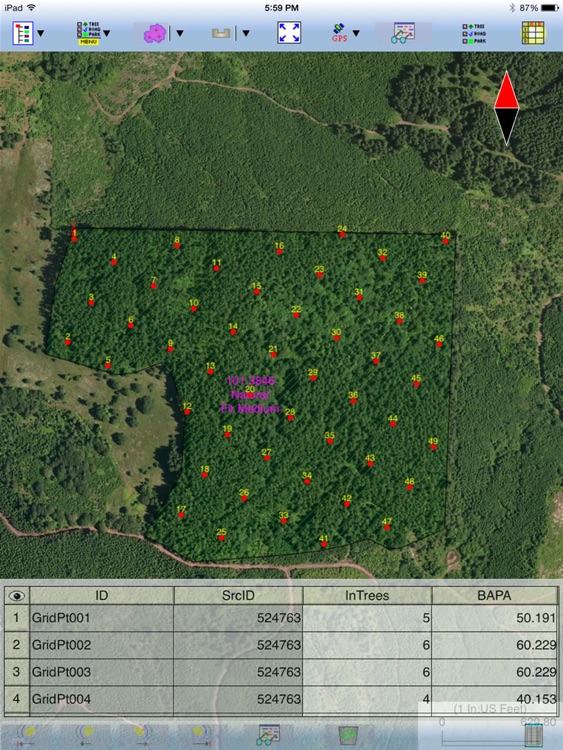 Forester GPS GIS II screenshot-3