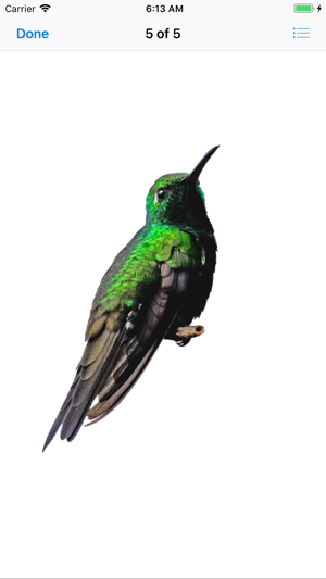 My Hummingbird Stickers(圖8)-速報App