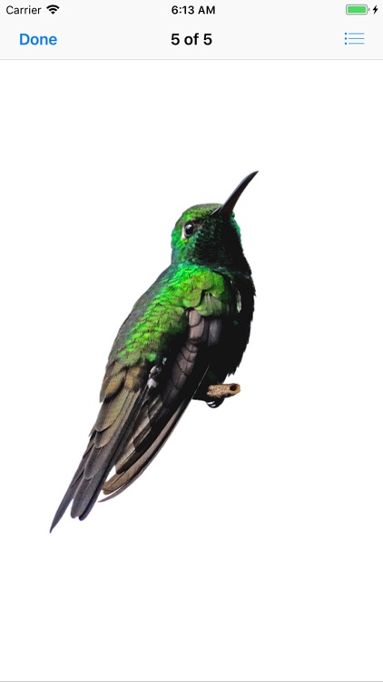 My Hummingbird Stickers screenshot-7