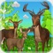 There are a lot of dangerous animals in the forest
