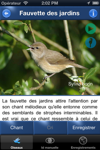 Chants d’oiseaux automatique screenshot 2