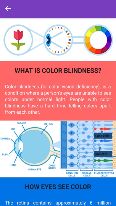 Colour Blindness Checker screenshot 2