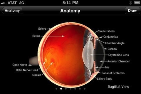 Sight Selector Lite screenshot 4