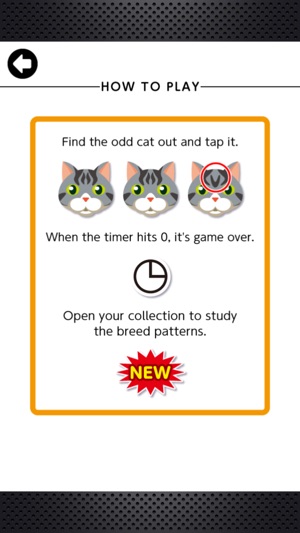 Odd Cat Out(圖5)-速報App