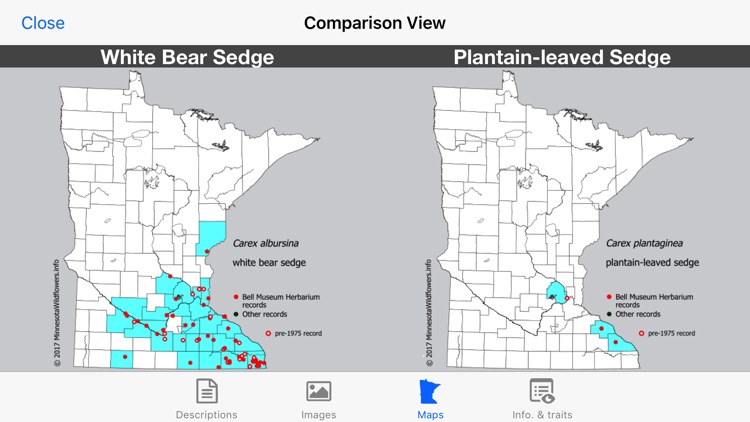 Minnesota Wildflowers Info. screenshot-5