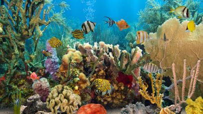 MyReef 3D Aquarium 2 HD Screenshot 1