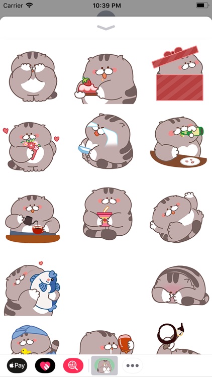 Chubby Cat Animated Stickers