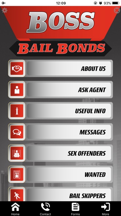 Boss Bail Bonds screenshot 4