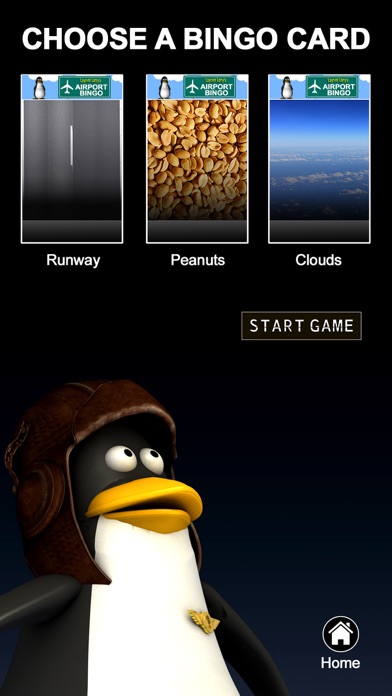 Airport Bingo Game screenshot 3