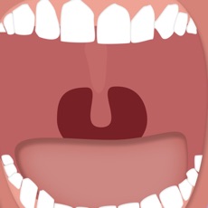 Activities of Teeth