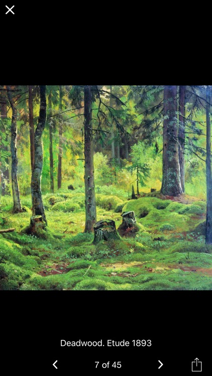 Šiškin (Shishkin) Art