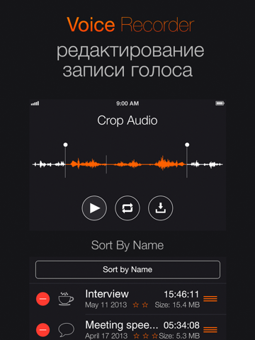 Voice Recorder+ Audio record screenshot 2