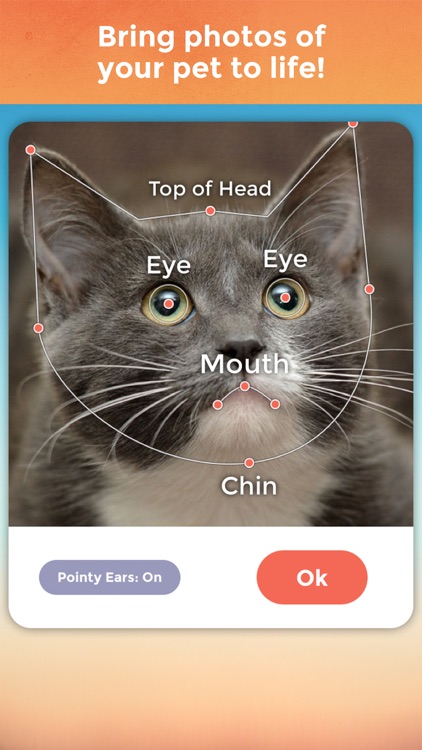 My Talking Pet Pro screenshot-0