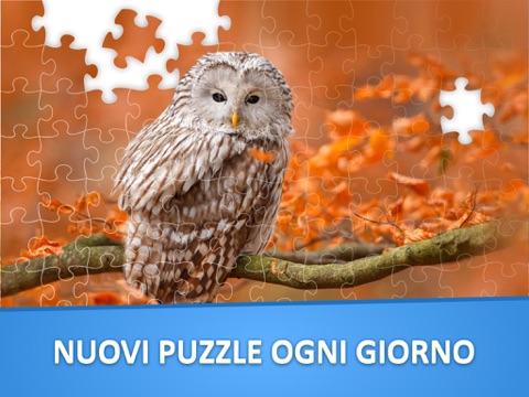 Jigsaw Puzzles for Adults HD screenshot 2