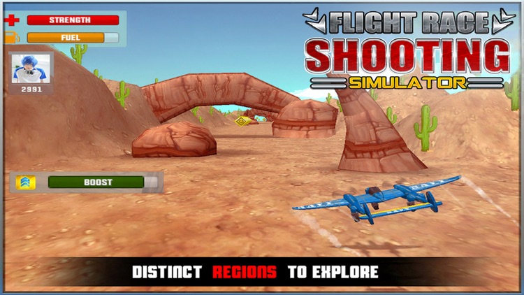 Flight Race Shooting Simulator