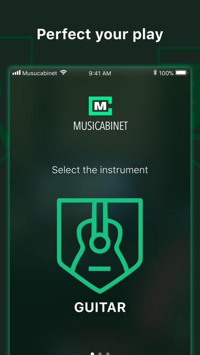 Musicabinet screenshot 2