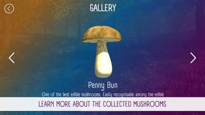 Mushroom Hunting Simulator 3D screenshot 2