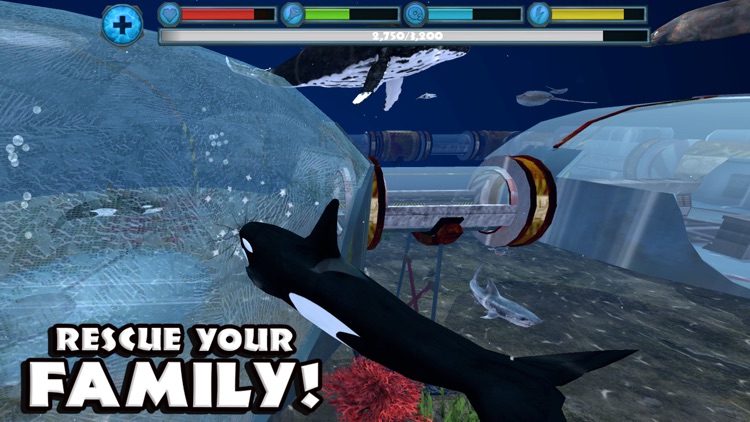 Orca Simulator screenshot-3