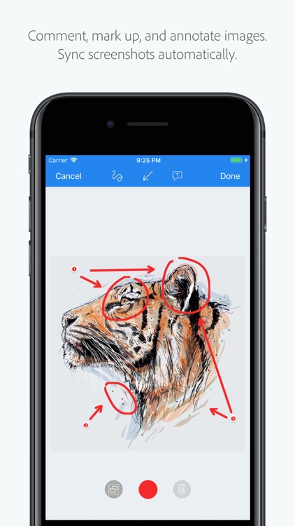 Adobe Creative Cloud screenshot-3