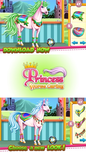 Royal Horse Caring(圖3)-速報App