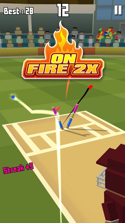 Runout Master - 3D Cricket screenshot-4