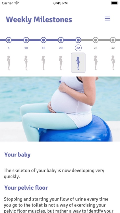Pregnancy Pelvic Floor Plan screenshot-0