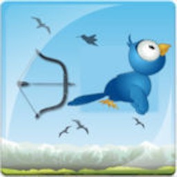 Birds Hunt With Bow & Archery