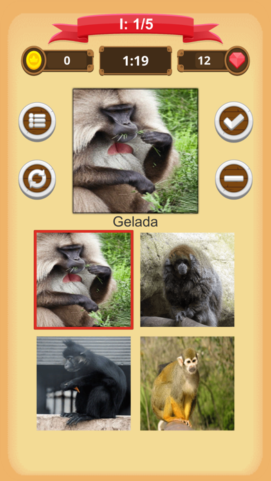 Monkeys - Quiz screenshot 3
