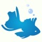 iQuaCodex is an application for iPhone allowing aquarists to have at hand, and at any time, a database allowing them to have accurate information about a fish seen in stores or on a trade fair