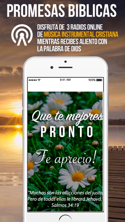 Promesas Biblicas en Imagenes con Citas Biblicas screenshot-4