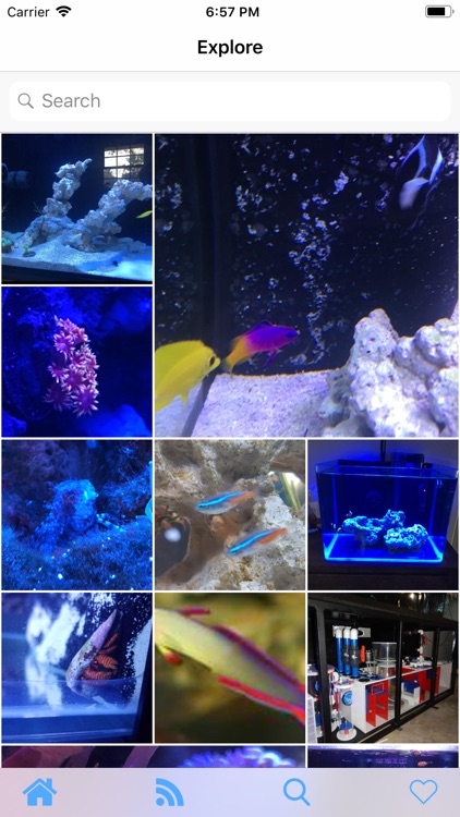AquaticLog screenshot-6