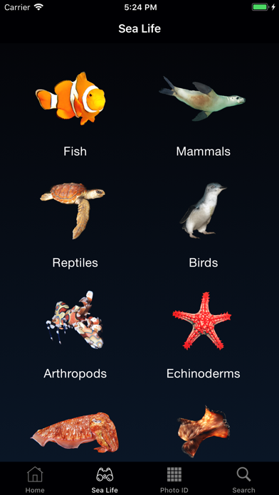 How to cancel & delete Sea Life Australia from iphone & ipad 1