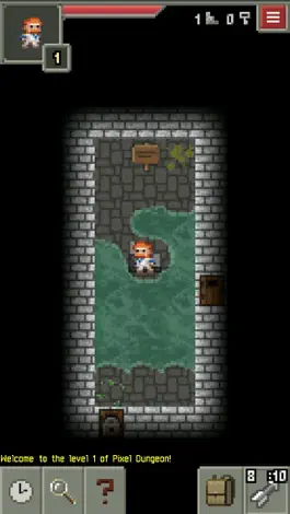 Game screenshot Pixel Dungeon apk