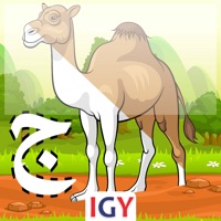 النحو أولي ابتدائي