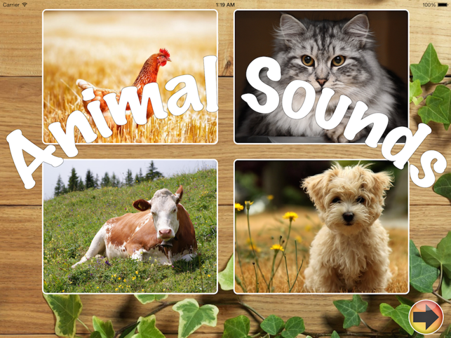 Animal Sounds for your baby(圖1)-速報App