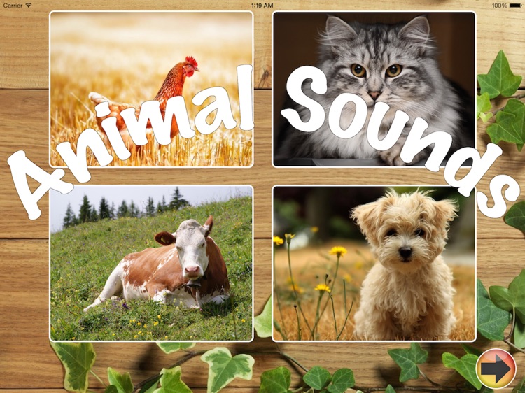 Animal Sounds for your baby