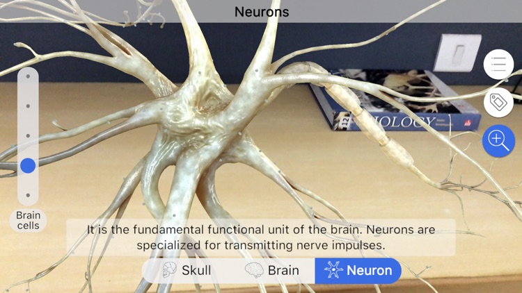 Brainapse screenshot-3