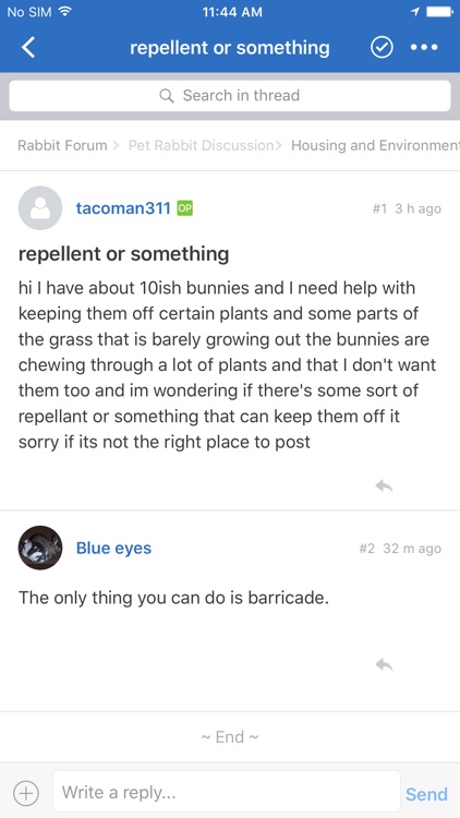 Rabbit Forum