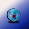 Butterfly Live Wallpaper Lite