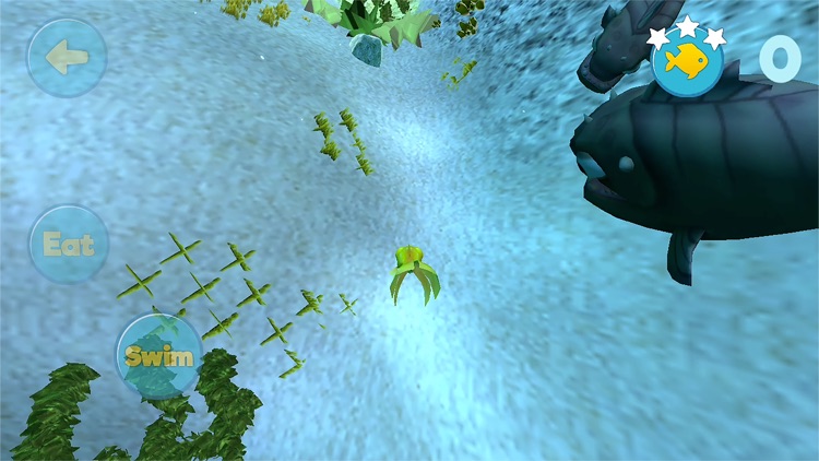 FEED BATTLE - FISH AND GROW screenshot-4