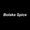 Welcome to BOLAKA SPICEOrder food online in Leek