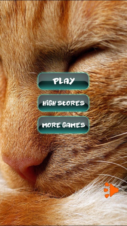 Cat Puzzles screenshot-4