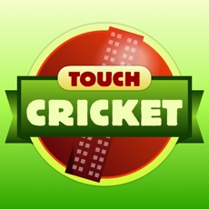 Activities of Touch Cricket