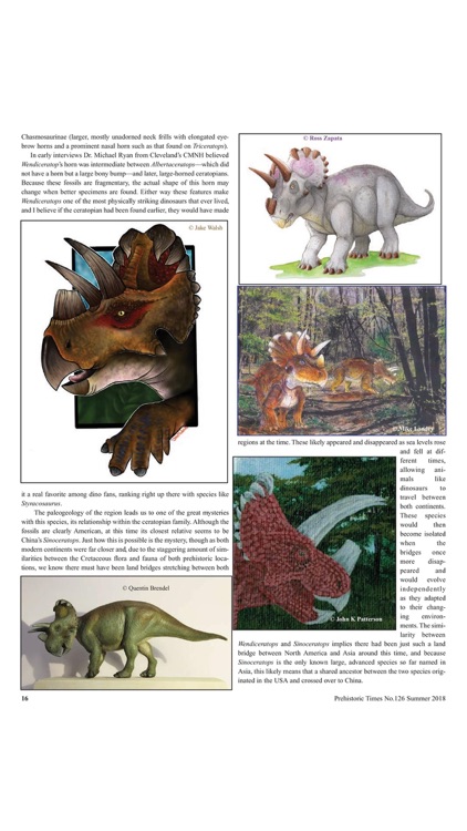 Prehistoric Times Magazine