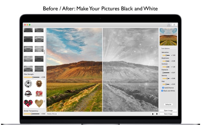 Black & White Editor - Effects(圖4)-速報App